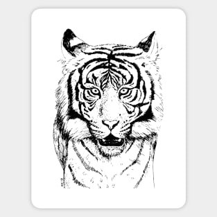 Tiger ink drawing Sticker